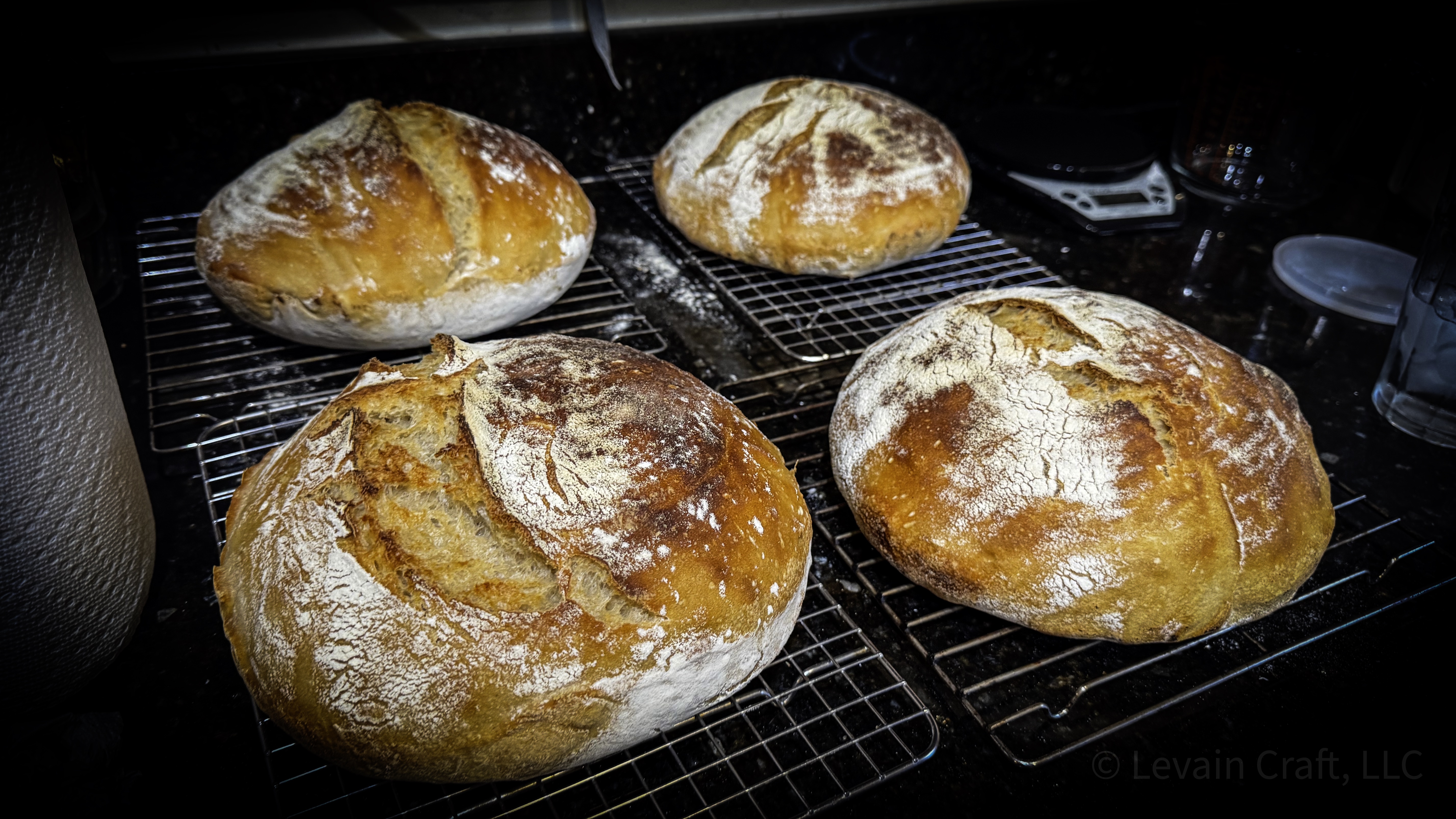 Variety of sourdough loaves